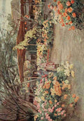 Tyndale Walter 1855 1943 Chrysanthemums Mukojima Tokio Japanese Gardens 1912 A4 Photo Print