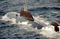Typhoon Akula Submarine A4 Photo Print