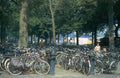 UK amsterdam bike racks A4 Photo Print