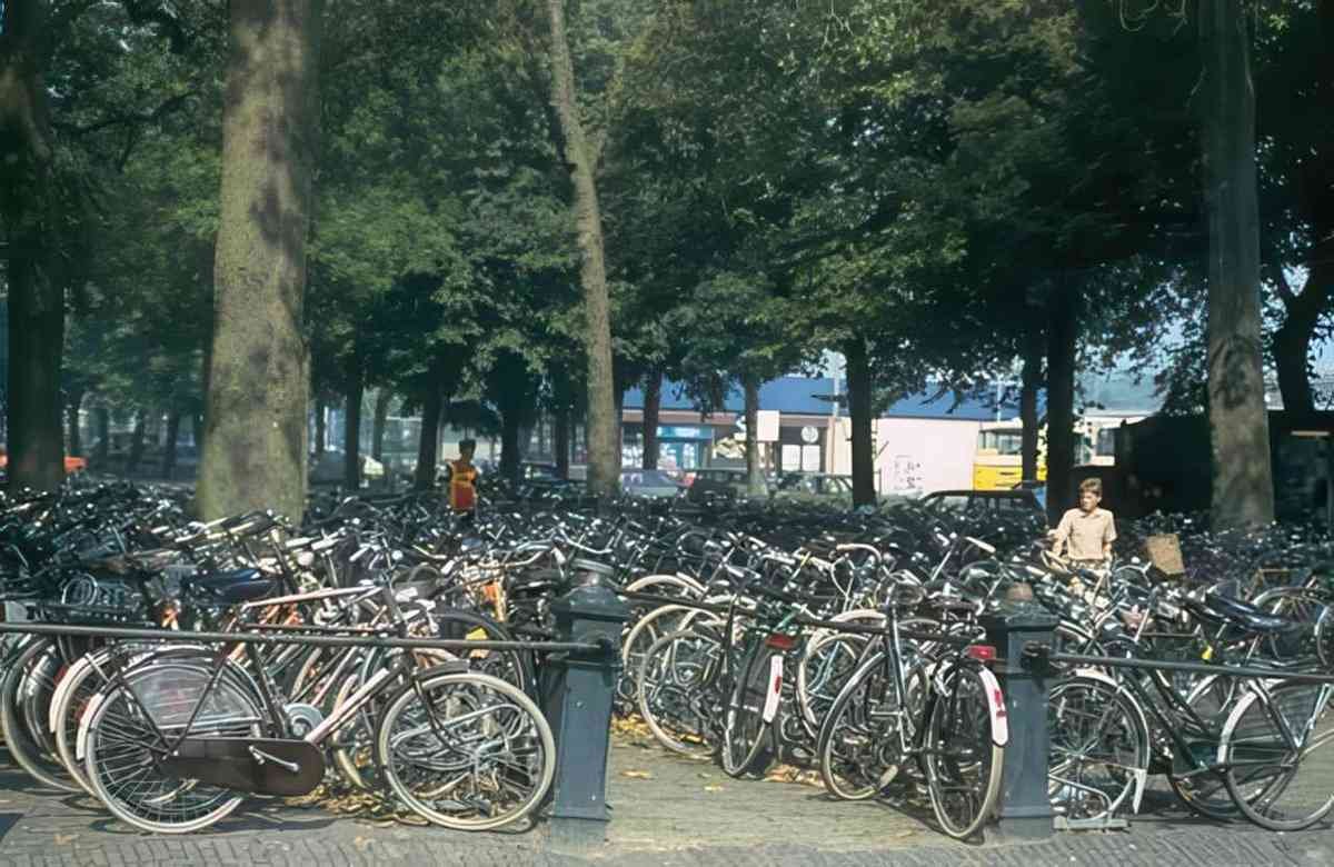 UK amsterdam bike racks A4 Photo Print
