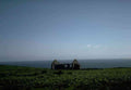 UK ruined cottage coast A4 Photo Print