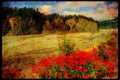USA Landscapes 176002 Flowers, Matanushka Valley, Alaska A4 Limited Edition Watercolour Print