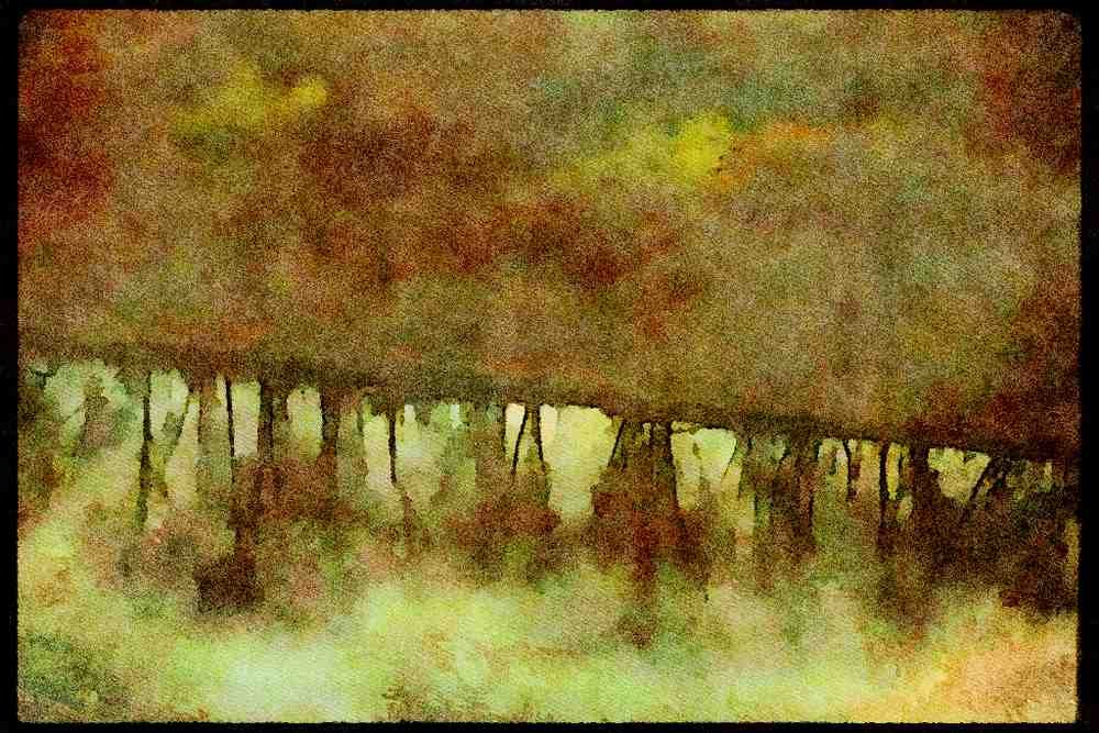 USA Landscapes 176021 Reflections, Delaware River A4 Limited Edition Watercolour Print