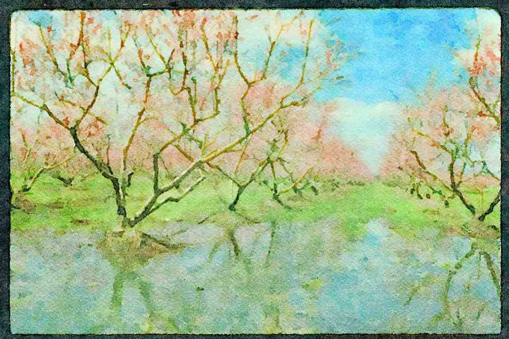 USA Landscapes 176025 Pine Barrens In Spring, New Jersey A4 Limited Edition Watercolour Print