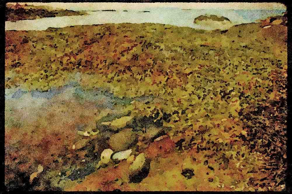 USA Landscapes 176031 Coastal Maine A4 Limited Edition Watercolour Print