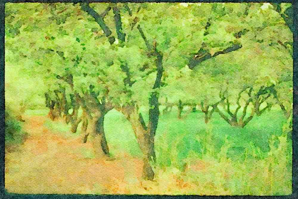 USA Landscapes 176046 Fruitah, Capitol Reef, Utah A4 Limited Edition Watercolour Print