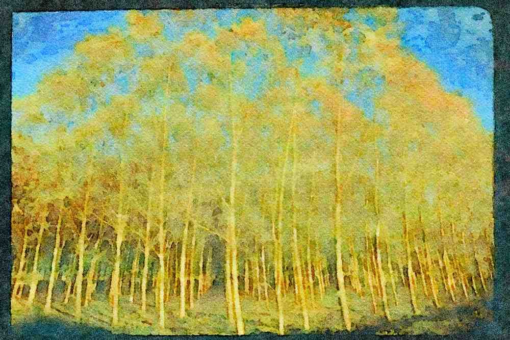 USA Landscapes 176054 Trees In Autumn A4 Limited Edition Watercolour Print
