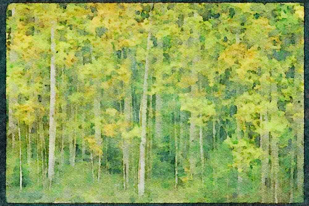 USA Landscapes 176055 Changing Aspens Above Santa Fe A4 Limited Edition Watercolour Print