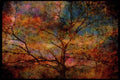 USA Landscapes 176057 Spring, Shenandoah A4 Limited Edition Watercolour Print