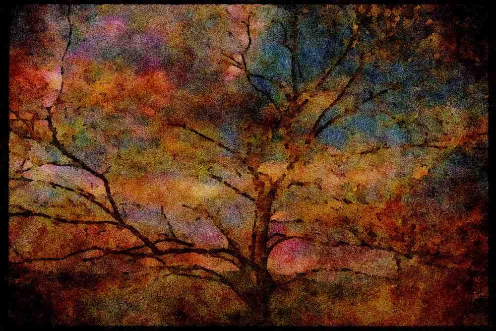 USA Landscapes 176057 Spring, Shenandoah A4 Limited Edition Watercolour Print