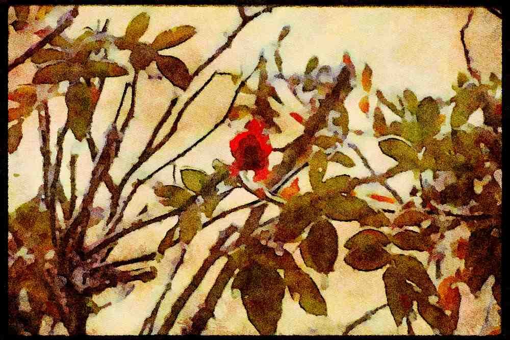 USA Landscapes 176070 Winter Ice Storm, New York A4 Limited Edition Watercolour Print