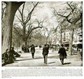 USMA1001, Tremont Street &  Advert A4 Photo Print