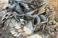 Umberto Boccioni 43 A4 Photo Print