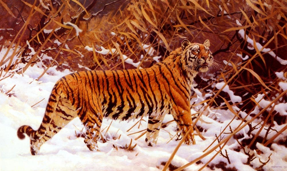 Ungewitter Hugo Siberischer Tiger In Einer Schneelandschaft Art A4 Photo Print