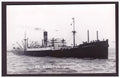 Union Castle Line Ss Sandown Castle 1921 Steam ship A4 Photo Print