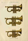 Unknown Catalogue C Bruno & Son c1890 E flat Cornets A4 Photo Print