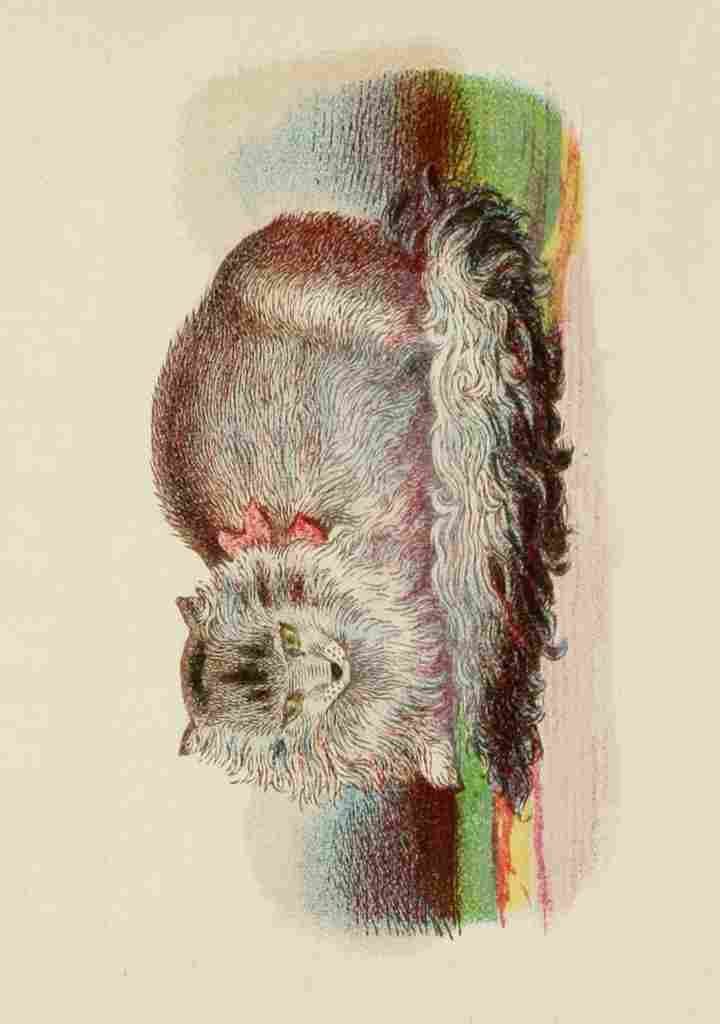 Unknown Cats 1877 Persian A4 Photo Print