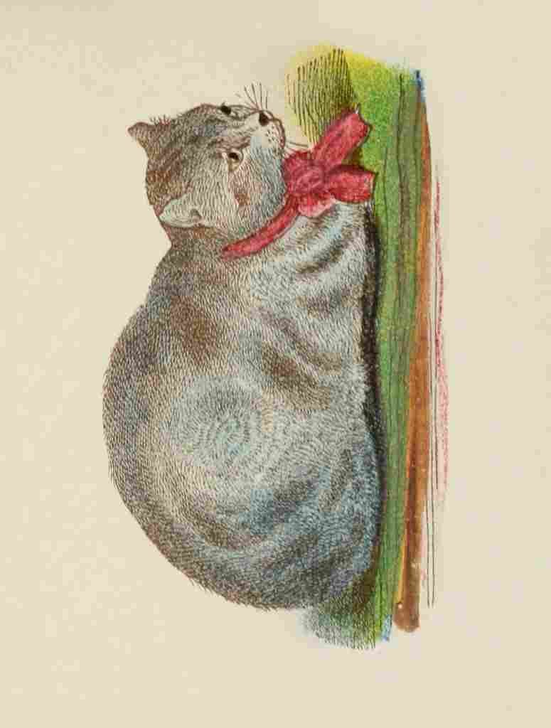 Unknown Cats 1877 Silver or blue tabby A4 Photo Print