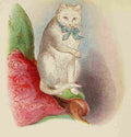 Unknown Cats 1877 White A4 Photo Print
