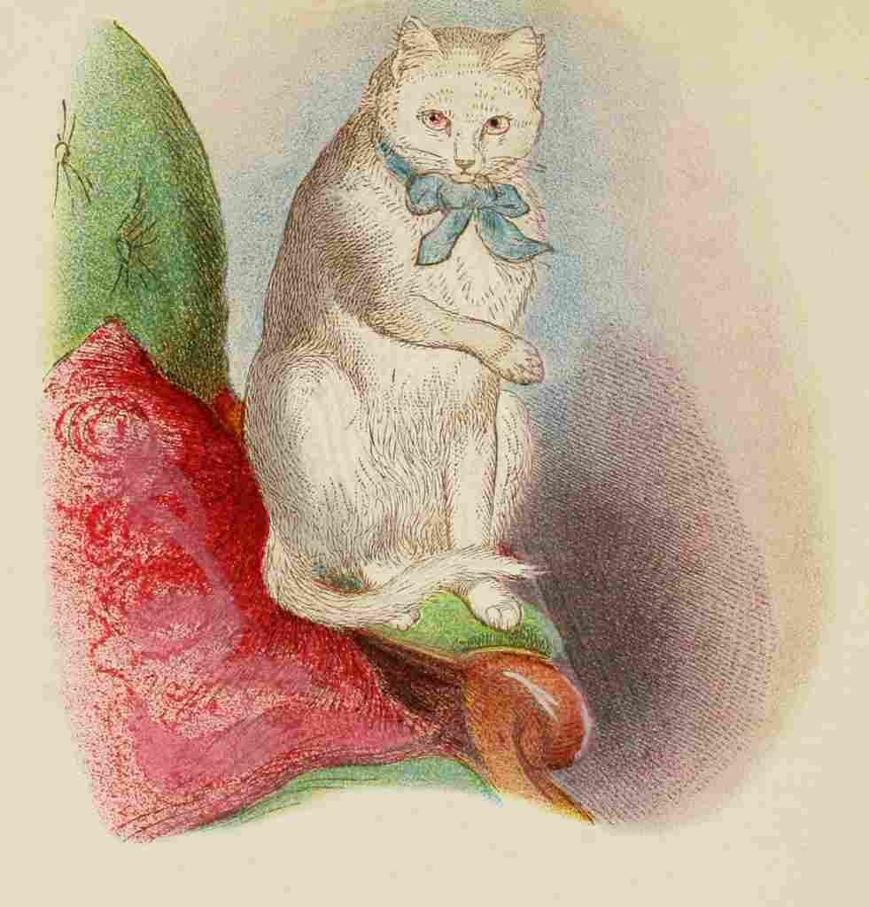 Unknown Cats 1877 White A4 Photo Print