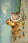 Unknown Childrens Friend c1890 Lifebuoy Ad A4 Photo Print