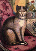 Unknown Our Pets 1865 Cat A4 Photo Print