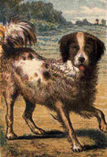 Unknown Our Pets 1865 Dog A4 Photo Print