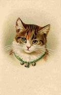 Unknown Postcard c1890 Cat with bell collar A4 Photo Print