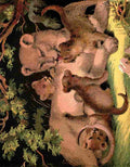 Unknown The Lion 1880 Lioness & Cubs A4 Photo Print