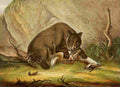 Unknown The Royal Natural History c1881 Bear & prey A4 Photo Print