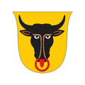 Uri Coat Of Arms N2423 A4 Photo Print