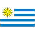 Uruguay Flag N1831 A4 Photo Print