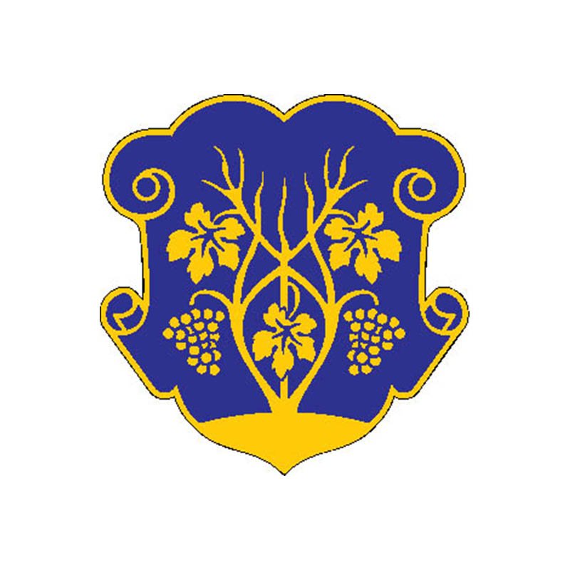 Uzhgorod City Coat Of Arms N3295 A4 Photo Print