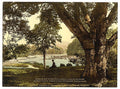 Vale of Avoca I County Wicklow Vintage A4 Photo Print