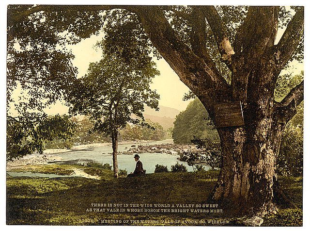 Vale of Avoca I County Wicklow Vintage A4 Photo Print