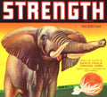 Valencia Elephant Strength 1930s Vintage Retro Advert Poster