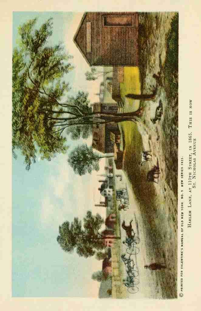 Valentines manual of old New York 1919 Harlem Lane A4 Photo Print