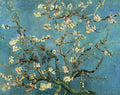 Van Gogh Branches With Almond Blossom, Febr.1890, 73.5x92 C Art A4 Photo Print