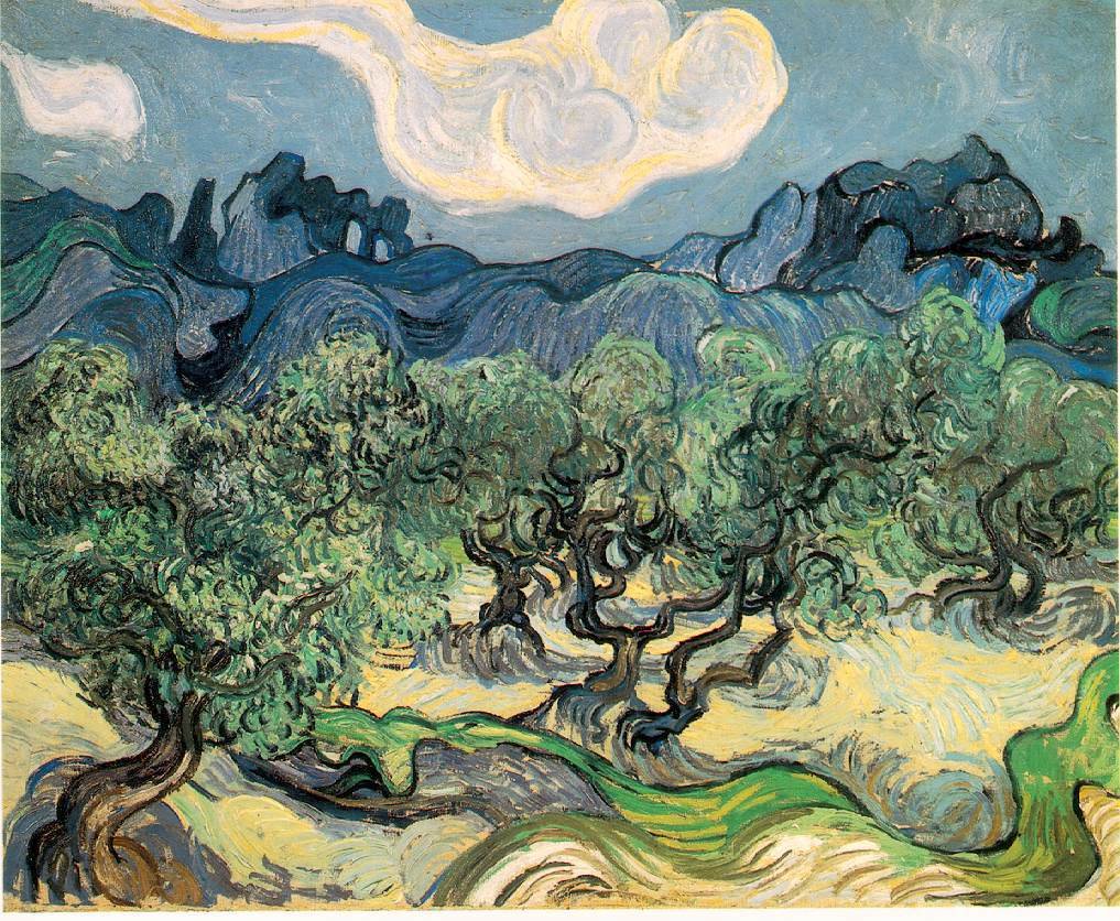 Van Gogh Olive Trees With The Alpilles In The Background, 1 Art A4 Photo Print