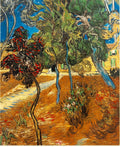 Van Gogh Trees In The Asylum Garden, 1889, 73x60 Cm, Privat Art A4 Photo Print