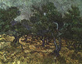 Van Gogh Vincent The Olive Grove 1889 A4 Photo Print