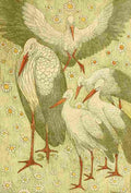 Van Hoytema Theo 1863 1917 Die Kunst 1901 Stork Family A4 Photo Print