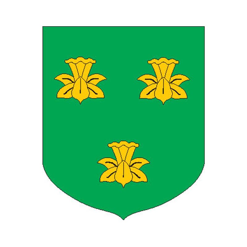 Vara Vald Coat Of Arms N2787 A4 Photo Print