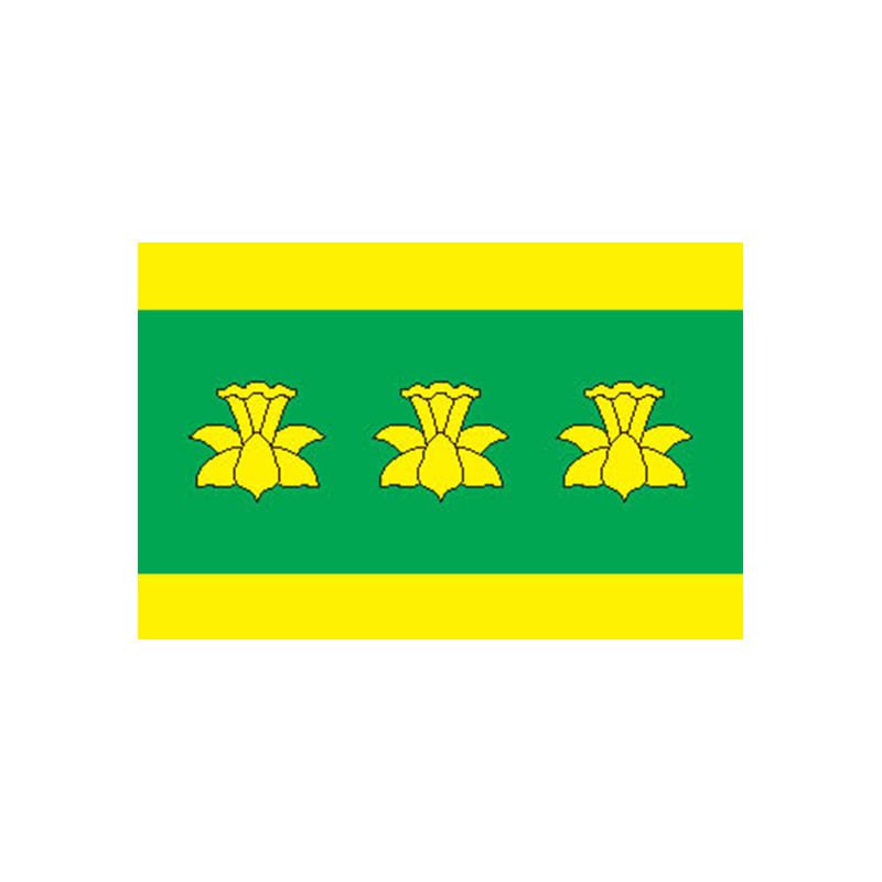 Vara Vald Flag N2788 A4 Photo Print