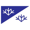 Vasalemma Vald Flag N2750 A4 Photo Print