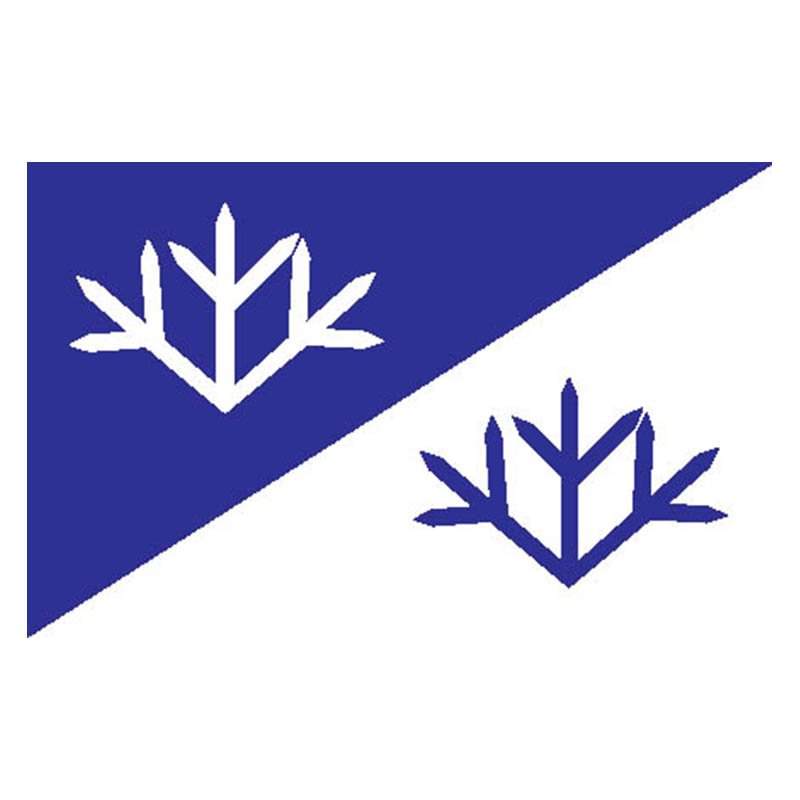 Vasalemma Vald Flag N2750 A4 Photo Print