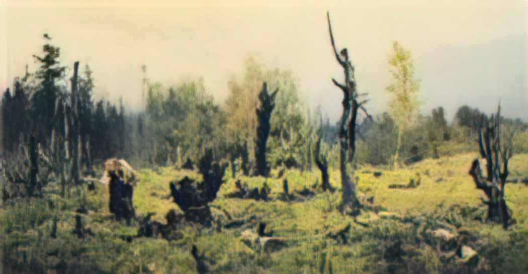 Vasily Polenov the burnt forest 1881 Art A4 Photo Print