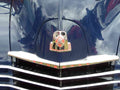 Vauxhall Bonnet Grille Boot 2739 A4 Photo Print