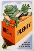 Vegetable Crate Plenty 1950s Vintage Retro Advert Poster