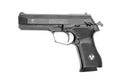 Vektor Sp Semiautomatic Pistol South Africa A4 Photo Print